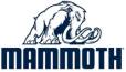 Mammoth logo