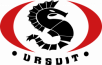 Ursuit logo