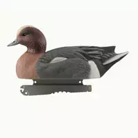 Avery Life Size Haapana - Houkutuskuvat - 3942196306870 - 1