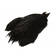 FutureFly Rooster Cape Black - Nackar - 5712462011870 - 1