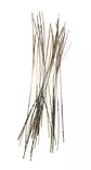 Fasna Hand Stripped Peacock Quills Naturel - Quills - 3965794416260 - 1