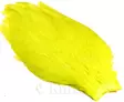 Whiting american rooster cape yellow chartreuse - Niskat - 616044008980 - 1