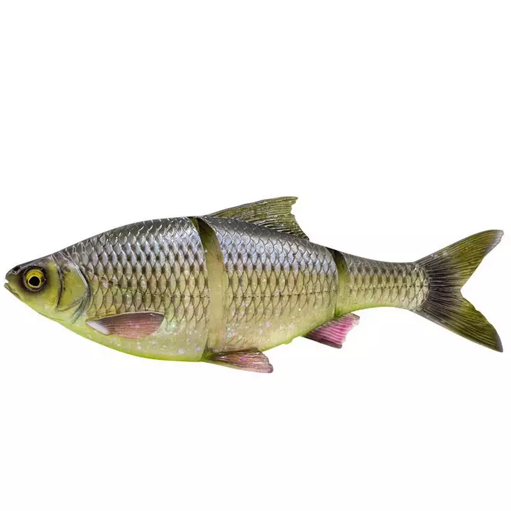 4D Line Thru Roach 25cm 206g Hugo - Haukijigit - 5706301029690 - 1