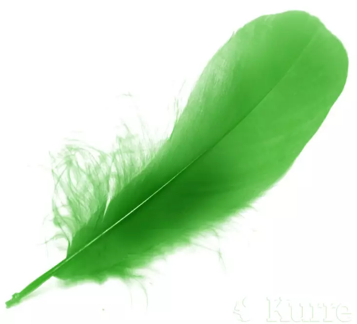 FTS Goose Shoulder Highlander Green - Hanhi - 053526052060 - 1