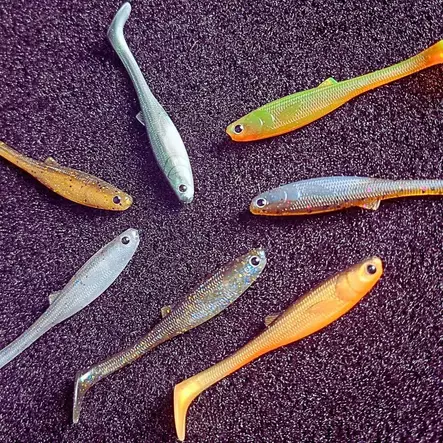 Blackfin Trigger Shad 75mm Smelt - Jigit - 6429811727021 - 2