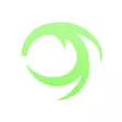 Pacchiarinis Dragon Tails L Fluo Chartreuse - Haukiperhon sidonta - 7340009350311 - 1
