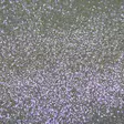 Bright Baits Glitter 40ml 0,4mm Iridescent Violet - Lakka- ja plastisolihileet - 3966043912601 - 1