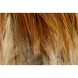 FutureFly Rooster Saddle Feather Ginger - Sadlar - 5712462006401 - 1