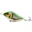 Salmo Slider 16cm 152g Sinking Spotted Silver Roach - Jerkbeten - 5903766992181 - 1