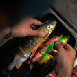 Savage Gear 3D LT Whitefish 22cm 107g Gold Albino - Haukijigit - 5706301022141 - 2