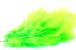 Wapsi Select Marabou plumes fl.chartreuse - Marabou - 053526020281 - 1
