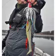 Westin ShadTeez Slim V2 27cm 99g Bling Perch - Gäddjiggar - 5707549472491 - 3