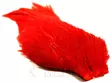 Whiting american rooster cape red - Niskat - 616044053911 - 1
