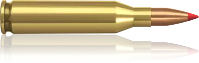 Norma V-Max .243 Win 3,8g 20st - Kaliber .243 Win - 7393923160351 - 1