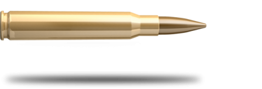 Sellier & Bellot .30-06 Spring 8g FMJ 50kpl - Kaliiperi .30-06 - 8590690340811 - 1