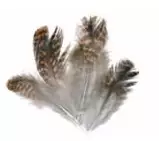 Soldarini Grouse Select - Muut höyhenet ja häkilät - 0192001 - 1