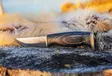 Arctic Legend Hunter’s Knife Musta Visakoivu Hiiliteräs - Knivar, yxor och knivvässare - 6430067640972 - 2