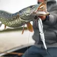 Berkley Nessie 22cm 57g Arctic Char - Pike shads and jigs - 028632049662 - 2