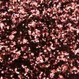 Bright Baits Glitter 40ml 1mm red brown - Lakka- ja plastisolihileet - 3963048475582 - 1