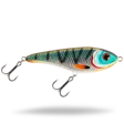 Buster Jerk Shallow Runner CWC037 Tiger Cichlid - Jerkbeten - 7340029435852 - 1
