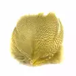 Summer Yellow - Sorsa - 0191702 - 1