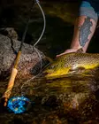 Vision Trout Hero2 Fly Rod 9' #5 - Vision - 6417512850032 - 4