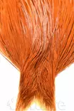 Whiting Bronze Grade Cape brown - Niskat - 616044035382 - 1