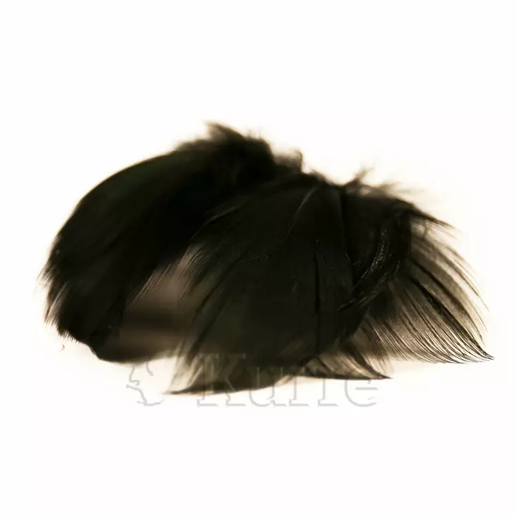 Mallard Flank Large Select black - Sorsa - 053526467062 - 1