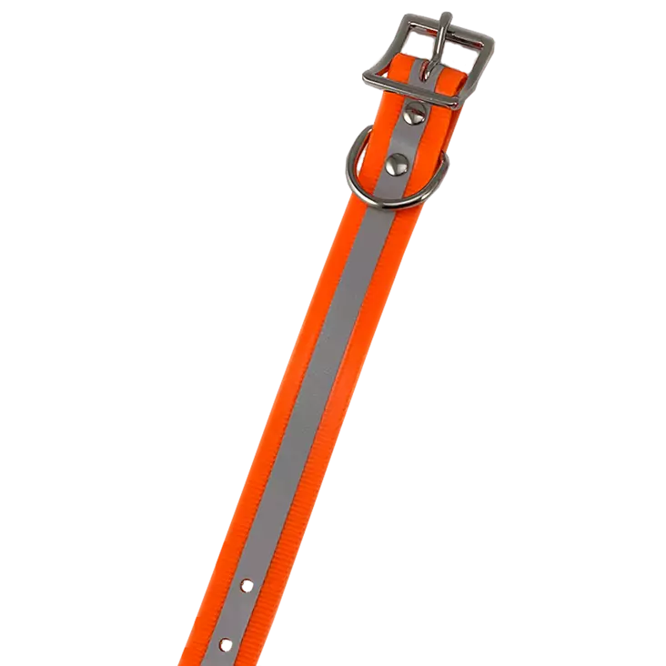 Tracker Talutuspanta Oranssi Hejastava - Koiratutkat ja tarvikkeet - 4545456215302 - 1