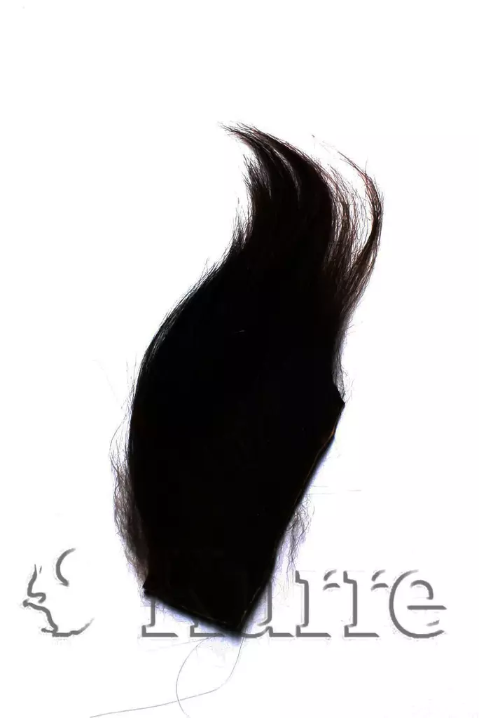 Wapsi Arctic goat black - Get - 053526790122 - 1