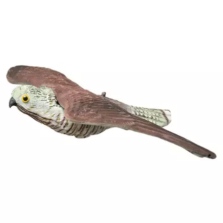 Live Hawk - Houkutuskuvat - 4545458424023 - 1