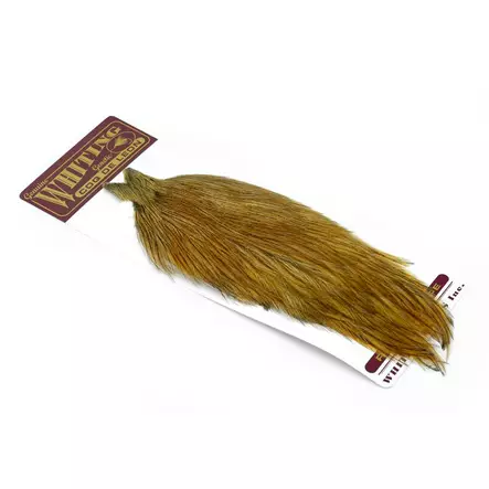Whiting Coq de Leon Cape Brown - Satulat - 616044113103 - 1
