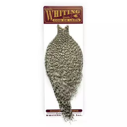 Whiting Coq de Leon Cape Brown - Satulat - 616044113103 - 2