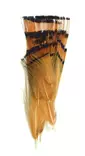 Soldarini Golden Pheasant Tippet - Kultafasaani, fasaani - 3967795111373 - 1