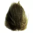 Soldarini Mallard Grey Flank olive - Sorsa - 0191703 - 1