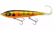 Svartzonker Big Mctail Orange Belly Perch - Hybriidit - 6430055946123 - 1