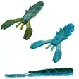SZ NATC King Craw 4-pack Highlight Ayu - Ned- ja Creaturevieheet - 7340031020633 - 0