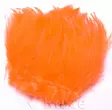 Wapsi Neck hackle strung orange - Niskat - 053526009033 - 1