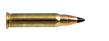 Norma V-Max .17 HMR 1,1g 50kpl - .17 HMR - 4000294097423 - 1