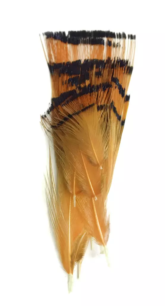 Soldarini Golden Pheasant Tippet - Kultafasaani, fasaani - 3967795111373 - 1