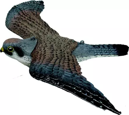 SportPlast lentävä haukka - Houkutuskuvat - 45454561236164 - 1