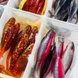 Gunki Grubby Shad 60 Motoroil Gold & Red Flake - Softbaits - 3297830794484 - 2