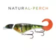 Headbanger Colossus Curly 31cm 170g Natural Perch - Hybriidit - 819521023074 - 1