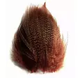 Soldarini Mallard Grey Flank brown - Sorsa - 0191704 - 1