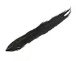Soldarini Pheasant Tail Black - Kultafasaani, fasaani - 0192404 - 0