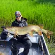 Svartzonker Big Glide 23cm C3 FireTiger - Jerkbaits - 6430055946444 - 3