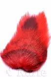 Wapsi Kokonainen bucktail fl.punainen - Svansar - 053526070224 - 1