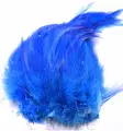Wapsi Neck hackle strung peacock blue - Niskat - 053526009354 - 1