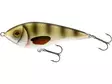 Westin Swim 12cm 53g Suspending Crystal Perch - Jerkit - 5707549321294 - 1