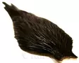 Whiting american rooster cape black - Niskat - 616044053584 - 1